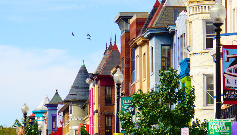 Vetrine colorate nel quartiere di Adams Morgan