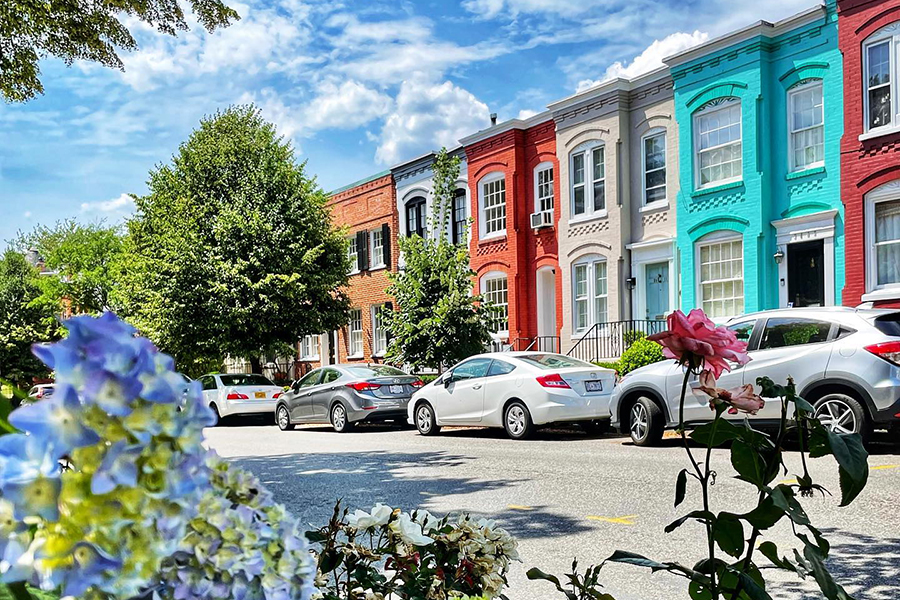 DC rowhouses in summer 