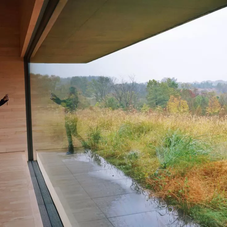 @ambarella - View of fall foliage from the Glenstone Museum - Free museum near Washington, DC