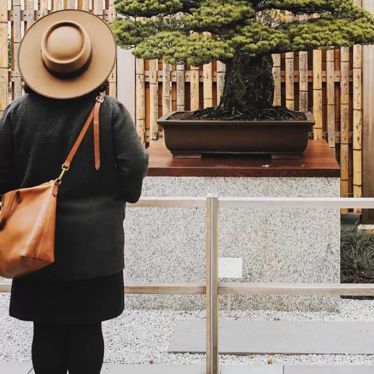 @lavalerosa - Visitor at the U.S. National Arboretum&#039;s National Bonsai &amp; Penjing Museum - Free international experience in Washington, DC