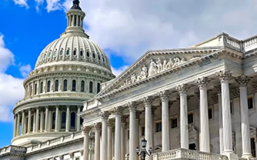 U.S. Capitol Building
