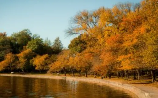 Tidal Basin Fall