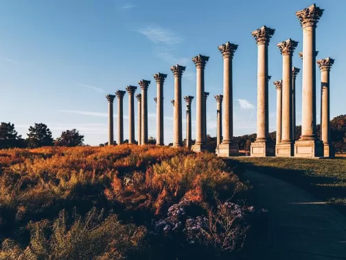 United States National Arboretum