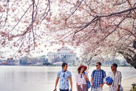 Washington, DC Itineraries - Plan Your Trip to DC