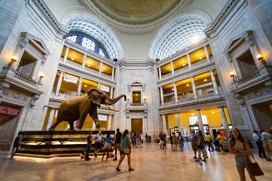 Smithsonian National Museum of Natural History