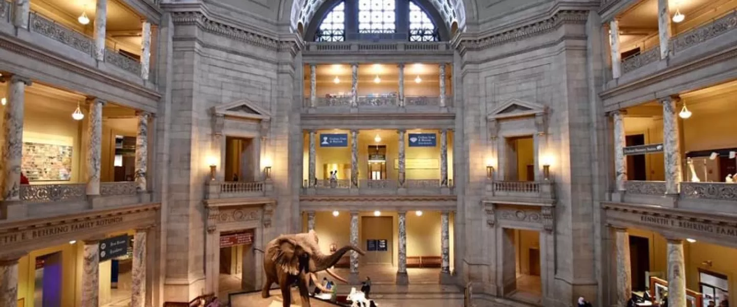 @michellefortephotography - Atrium at Smithsonian National Museum of Natural History on the National Mall - Free Museum in Washington, DC