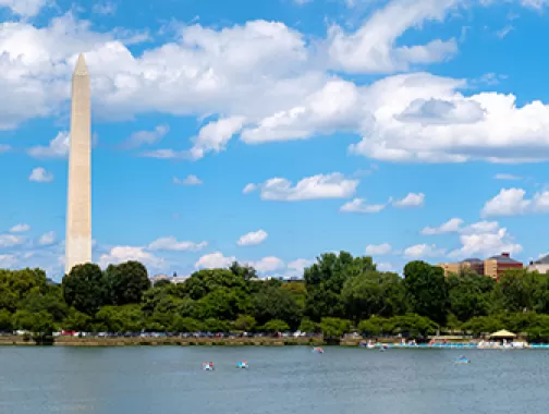 Tidal Basin in Summer